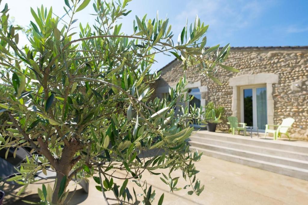 Coeur De Vignes Hotel Saint Peray Bagian luar foto